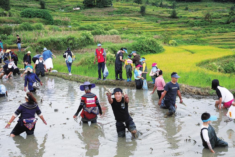 等特产琳琅 等特产琳琅